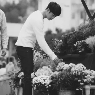 ➖ man, gardening, plants, flowers, outdoors, monochrome telegram sticker