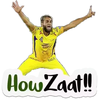 😊 How Zaat!! Críquete, Esportes, Celebração, Vitória, Equipe, Atleta whatsapp sticker