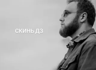 🌟 Скинъ ДЗ telegram sticker