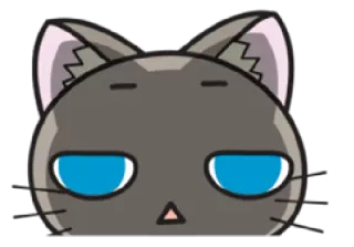 🙈 gato, fofo, anime, adesivo, desenho animado, animal whatsapp sticker