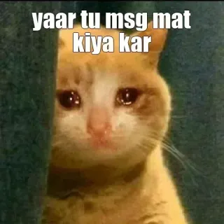 🥺 sad cat yaar tu msg mat kiya kar crying cat, sad cat, meme, reaction, please stop, ignored telegram sticker
