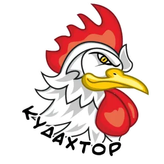 🐤 Кудахтор poulet, coq, oiseau, animal whatsapp sticker