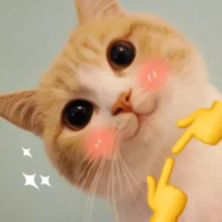 ☺️ gato, lindo, emoji, kawaii, rubor, animal, mascota telegram sticker