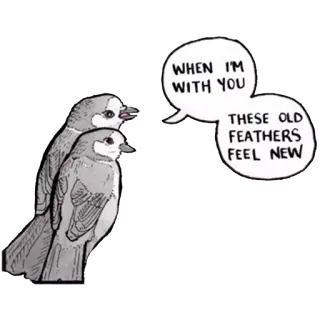 ❤️ WHEN I'M WITH YOU THESE OLD FEATHERS FEEL NEW birds, love, cute, feathers, affection telegram sticker