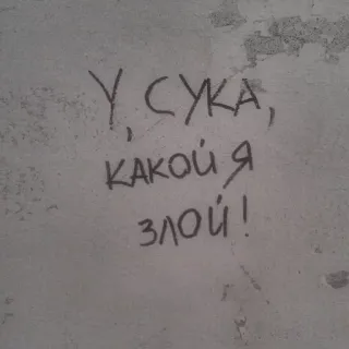 😡 У, СУКА, какой я злой! Gíria, Russo, Insulto, Grafite telegram sticker