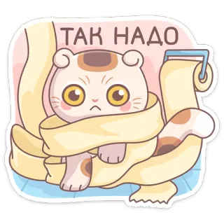 🤪 ТАК НАДО кот, туалетная бумага, милый, смешной, котенок, мультик, очаровательный whatsapp sticker