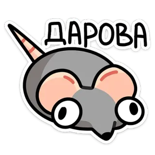 👋 ДАРОВА rat, dessin animé, animal, salutation, rongeur, mignon, autocollant telegram sticker