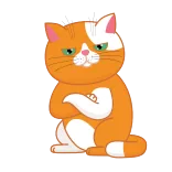 cat Jupiter telegram stickers