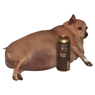 Sevn'n'Seven's stickers telegram stickers