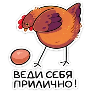 🤨 ВЕДИ СЕБЯ ПРИЛИЧНО! chicken, egg, russian, text, cartoon telegram sticker