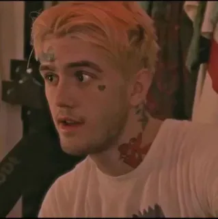 🐣 Lil Peep Lil Peep, muzyk, piosenkarz, tatuaż, portret, twarz telegram sticker