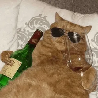 😐 cat, wine, sunglasses, party, funny, chill telegram sticker
