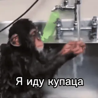 Больше стиков тут: @stikery4 telegram stickers