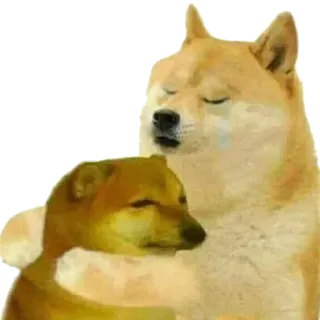 🤗 doge, dog, hug, meme, wholesome whatsapp sticker