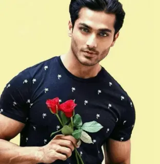 🌹 man, roses, flowers, model, shirt, portrait telegram sticker