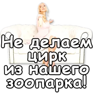 🎪 Не делаем цирк из нашего зоопарка! текст, русский, зоопарк, цирк, диван, женщина, стикер whatsapp sticker