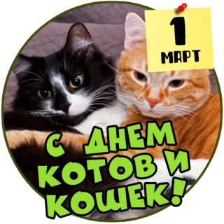🐈 С Днем Котов и Кошек!
1 МАРТ gatto, gatti, animali, animale domestico, adesivo, marzo, primavera telegram sticker