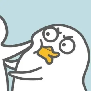 💨 anatra, cartone animato, animale, bianco, uccello, divertente whatsapp sticker
