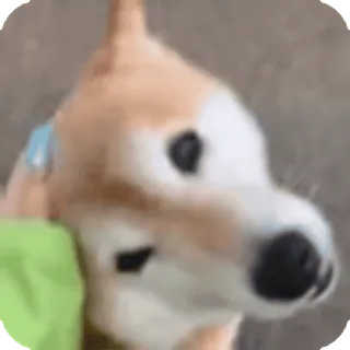 🌟