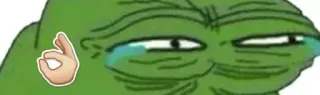 😂 Pepe the Frog Meme, Pepe, Rana, Meme de Internet, Ofensivo whatsapp sticker