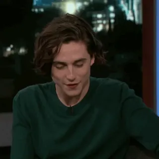 💎 Timothée Chalamet người nổi tiếng, diễn viên, Timothée Chalamet telegram sticker