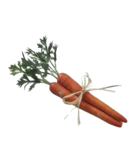 🥕 당근, 채소, 음식, 농산물, 주황색 telegram sticker
