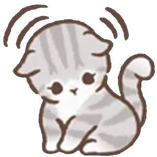 🐈
