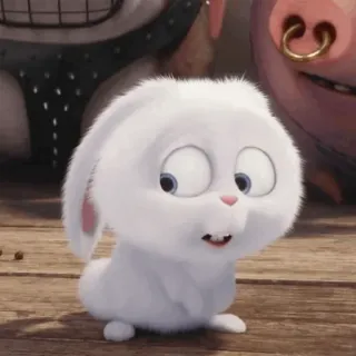 🍓 Snowball The Secret Life of Pets กระต่าย, น่ารัก, สัตว์, สัตว์เลี้ยง, บันนี่, ขาว telegram sticker