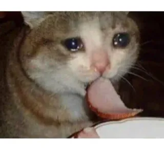 😢 kucing, sedih, makanan, menangis, ham, hewan telegram sticker