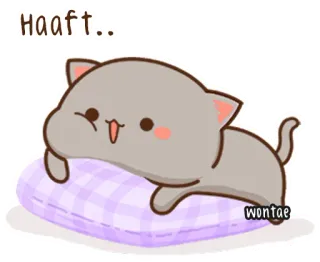 🍥 Haaft.. Katze, Kissen, süß, Cartoon, Tier, kawaii telegram sticker