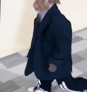 🤵 macaco, animal, engraçado, fato, roupa, andando whatsapp sticker