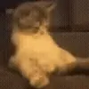 🥵