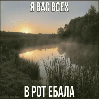 🔞 Я ВАС ВСЕХ
В РОТ ЕБАЛА ofensivo, pôr do sol, lago, russo, natureza telegram sticker