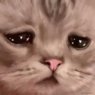 🌟 gato, triste, ojos, animal, pegatina, lindo telegram sticker