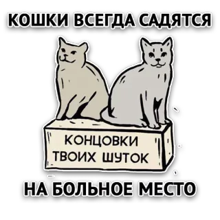 😏 КОШКИ ВСЕГДА САДЯТСЯ КОНЦОВКИ ТВОИХ ШУТОК НА БОЛЬНОЕ МЕСТО gatti, umorismo, russo, barzelletta, animale telegram sticker