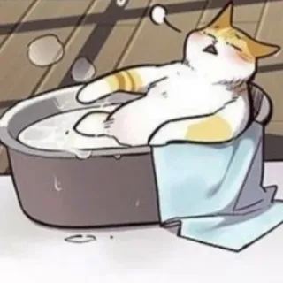 🛁 고양이, 목욕, 졸린, 만화, 동물 telegram sticker