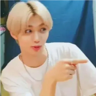Skz whatsapp stickers
