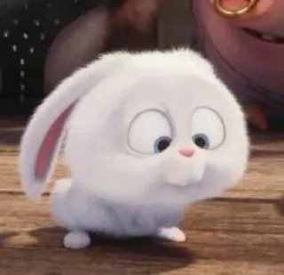 😞 Snowball The Secret Life of Pets lapin, lapinou, mignon, blanc, dessin animé, animal, animal de compagnie telegram sticker
