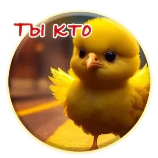 ❓ ТЫ КТО цыпленок, милый, животное, птица, вопрос telegram sticker