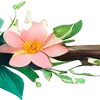 🌸