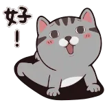 😄 女子! 猫, 可爱, 开心, 兴奋 telegram sticker