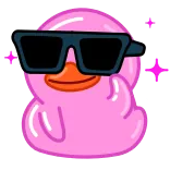 😎 anatra, rosa, occhiali da sole, cool, cartone animato, animale, carino telegram sticker