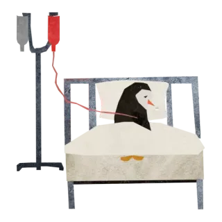😞 pinguino, letto, dormire, animale, uccello, cartone animato telegram sticker