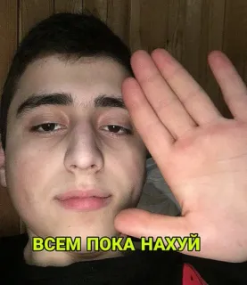 👋 ВСЕМ ПОКА НАХУЙ adiós, saludando, despedida, persona telegram sticker