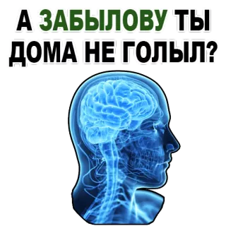 😉 А ЗАБЫЛОВУ ТЫ ДОМА НЕ ГОЛЫЛ? brain, anatomy, medical, russian text, human, head telegram sticker
