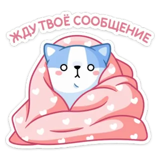 ⏳ ЖДУ ТВОЁ СООБЩЕНИЕ кот, плед, милый, сообщение, ожидание, русский, мультфильм telegram sticker