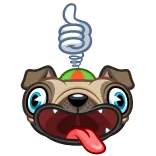 🐶