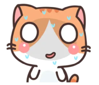 😨 mèo, mồ hôi, lo lắng, sợ hãi, dễ thương, kawaii, lo lắng whatsapp sticker