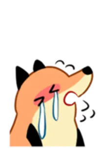 😭 doge, 哭, 伤心, 表情包, 狐狸, 眼泪 telegram sticker