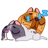 😴